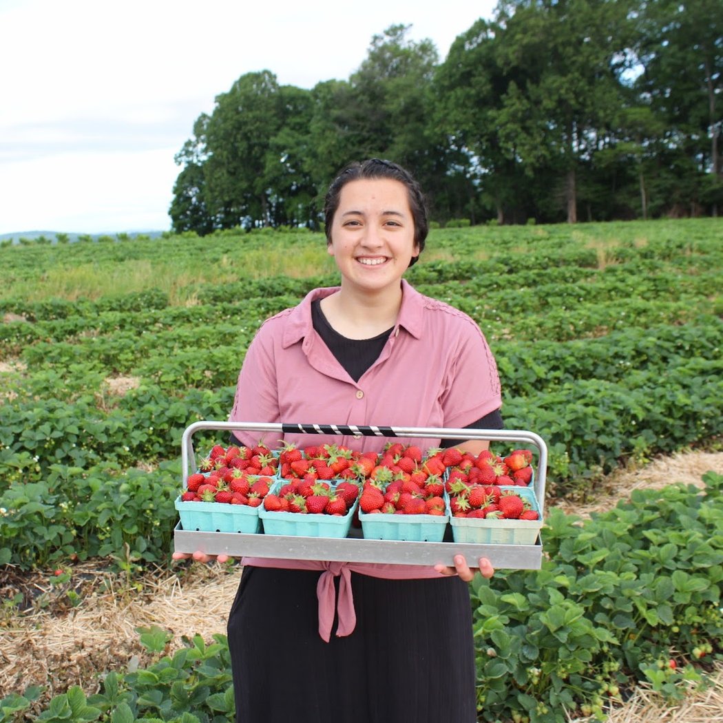 Brecknock Orchard 5